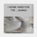 Recherche de dur magnets Le lapin