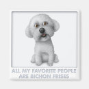 Recherche de bichon magnets Frise