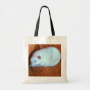 Recherche de rattie accessoires Rongeurs