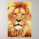 Recherche de visage lion posters Faune