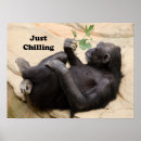 Recherche de chill out posters Drôle