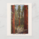 Recherche de nature design cartes postales Voyage