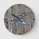 Recherche de canard en vol posters Oiseaux aquatiques