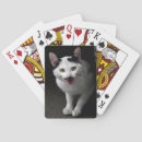 Recherche de chaton blanc jeux de cartes Minou