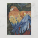 Recherche de peinture de perroquet posters Huile