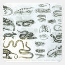 Recherche de vipère autocollants Reptile