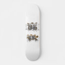 Recherche de pièce skateboards Batterie