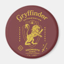 Recherche de gryffindor magnets Sorcier