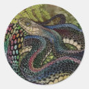 Recherche de peau de serpent autocollants Faune