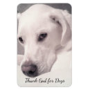 Recherche de beaux magnets Gris