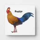 Recherche de poule plaques Coq