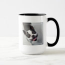 Recherche de image drôle de chien tasses Chiots