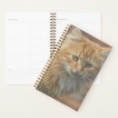 Recherche de chat de gingembre bureau fournitures Mignon