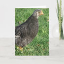 Recherche de argent toutes vœux cartes Toutes les occasions