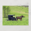 Recherche de amish cartes postales Rural
