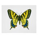 Recherche de peinture papillon posters Peint à la main
