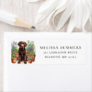 Recherche de chocolat labrador Mignon