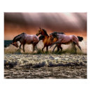 Recherche de chevaux sur la plage posters Ouest