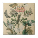 Recherche de chenille carreaux Insectes