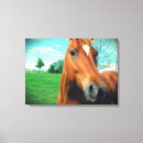 Recherche de geldings Équine