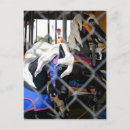 Recherche de rond point cartes postales Vacances