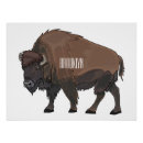 Recherche de bison posters Parc national de yellowstone