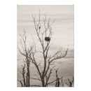 Recherche de oiseau nid posters Faune