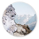 Recherche de montagnes boutons et poignées de porte Neige
