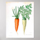 Recherche de botanical posters Country