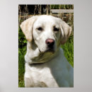 Recherche de extractie posters Toute personne