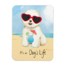 Recherche de bichon frise magnete Pour tous