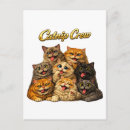 Recherche de chat idiot cartes postales Chats