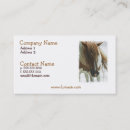 Recherche de mustang cartes visite Chevaux