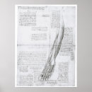 Recherche de pied humain posters Jambe