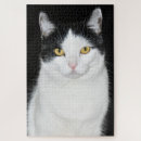 Recherche de chat noir et blanc puzzles Animal de compagnie