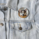 Recherche de welsh badges Pembroke welsh corgi