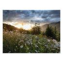Recherche de fourchette posters Montagne