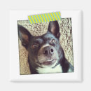 Recherche de ruban jaune magnets Pour tous