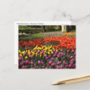 Recherche de la hollande cartes postales Photographie
