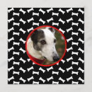 Recherche de canines invitations Dogs