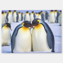 Recherche de penguin magnets Amour