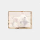 Recherche de bulldogge post its Chiot