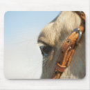 Recherche de freins tapis souris Cheval