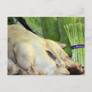 Recherche de nourriture cartes postales Asie