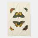 Recherche de insectes cuisine linges Blanc