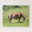 Recherche de jument puzzles Pâturage