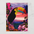Recherche de oiseau toucan cartes postales Oiseaux