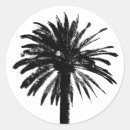 Recherche de palmier noir autocollants Arbre