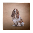 Recherche de basset hound carreaux Mignon
