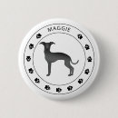 Recherche de lévrier badges Iggy